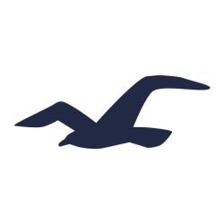 Hollister Logo