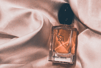 The fragrance shop perfume stock banner 750x560 px