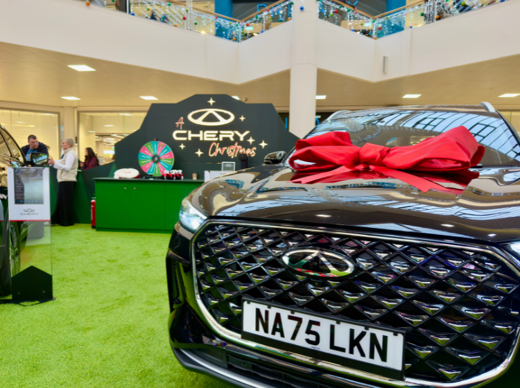 Chery Christmas Forest