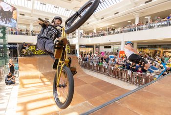 Half Pipe 2026