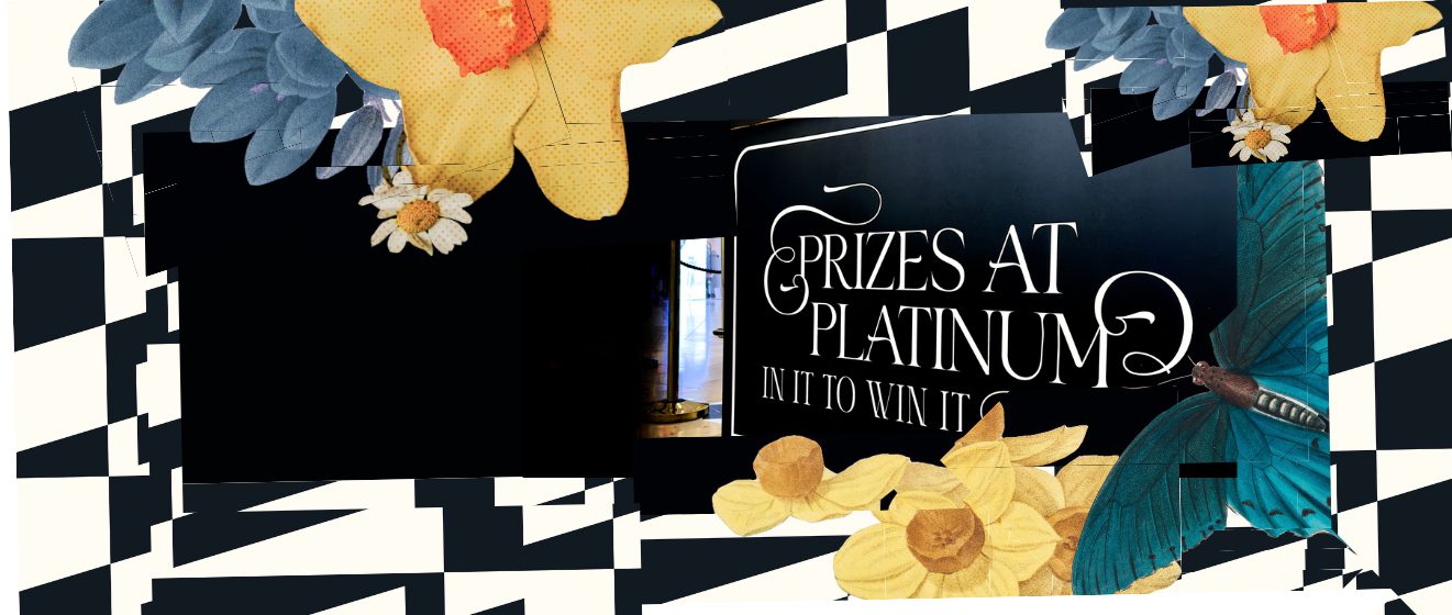Platinum Mall Homepage Banner 1