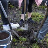 Tree buddies shovel 750 x 560