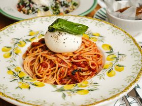 Ask Italian Family Offer